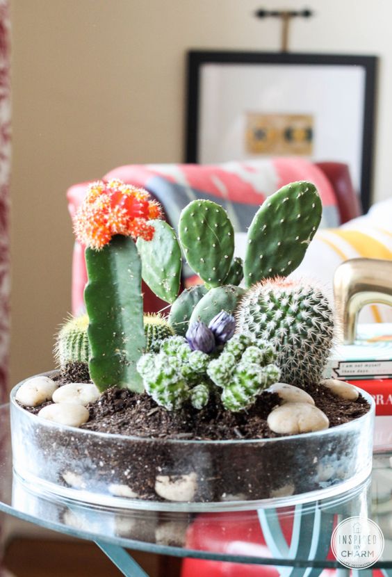 decorare con dei cactus 12