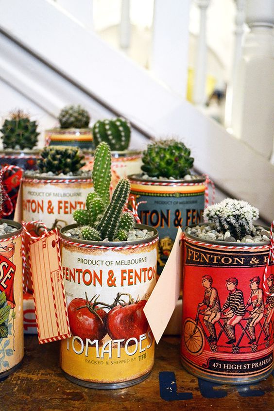 decorare con dei cactus 6