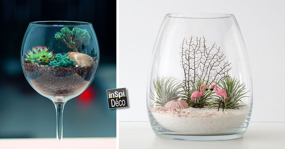 Terrium dans un verre
