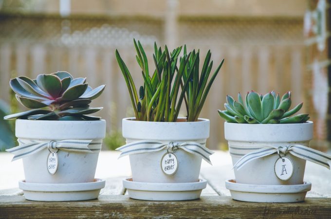 Decorare vasi di terracotta in stile shabby chic! 20 idee tutorial... Decorazioni shabby chic fai da te