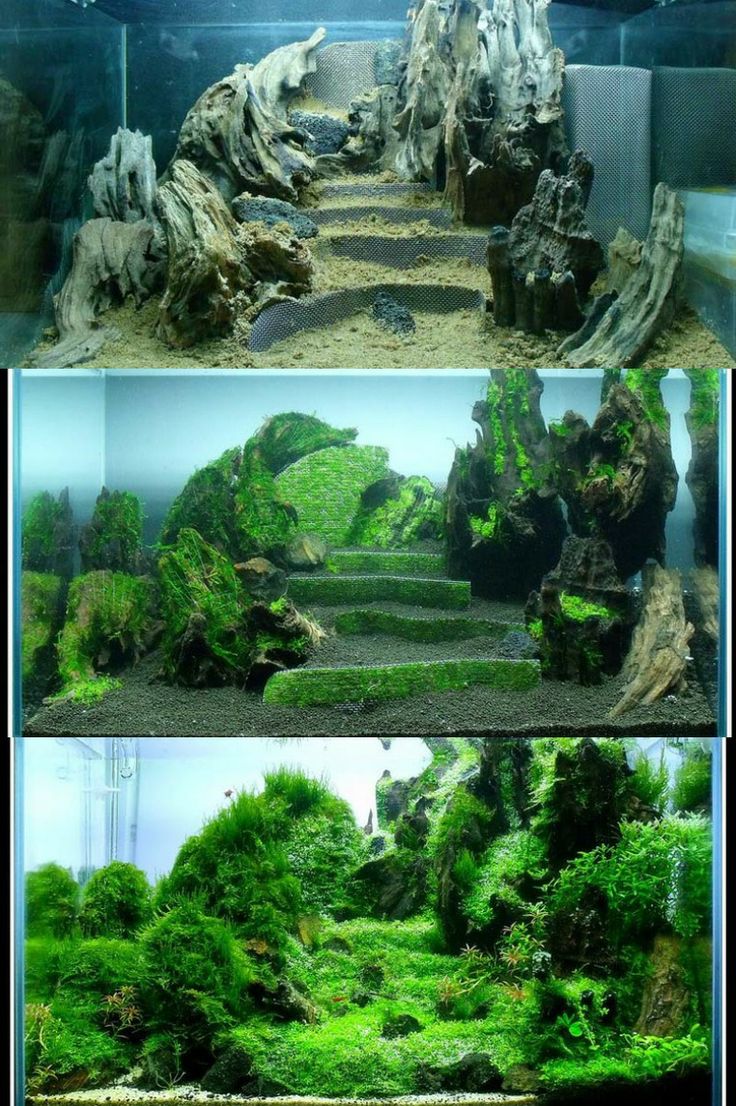 decorazioni acquario originali 11