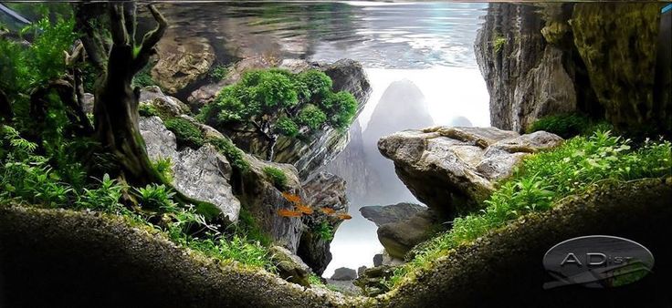 déco pour votre aquarium