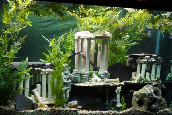 decorazioni acquario originali 23