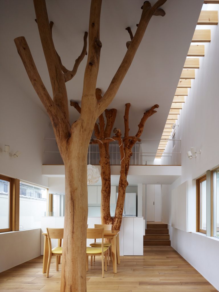 Déco avec arbres et troncs! Voici 20 exemples magnifiques...