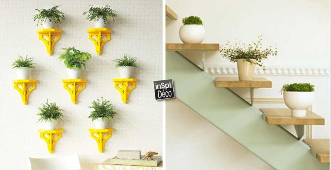 decoration interieur avec plante