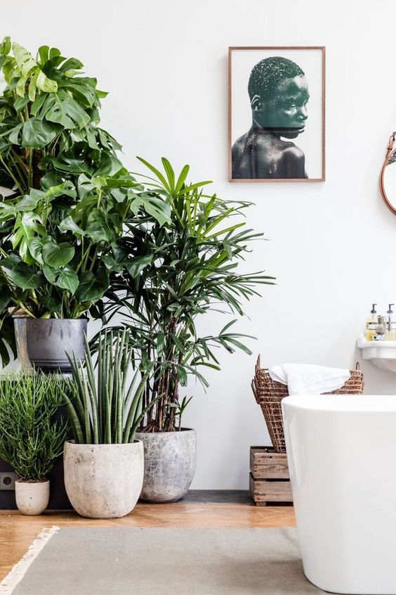 Pflanzen Für Badezimmer Entspannende Badezimmergestaltung Und ... Pflanzen Für Badezimmer Entspannende Badezimmergestaltung Und ...
