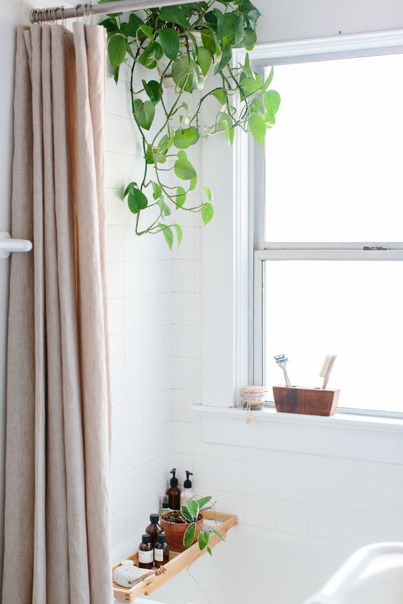 Ispirazione per decorare il bagno con le piante! 20 idee di ... Ispirazione per decorare il bagno con le piante! 20 idee di ...