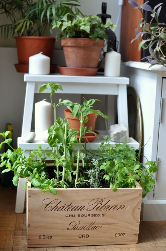 Une petite jardinière dans une cagette en bois! 20 idées ~ Mini Cagette En Bois Une petite jardinière dans une cagette en bois! 20 idées ~ Mini Cagette En Bois