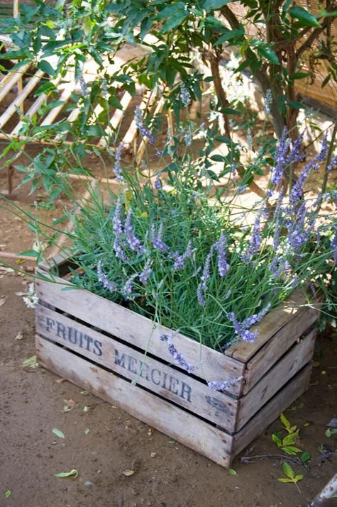 Une petite jardinière dans une cagette en bois! 20 idées ~ Mini Cagette En Bois Une petite jardinière dans une cagette en bois! 20 idées ~ Mini Cagette En Bois