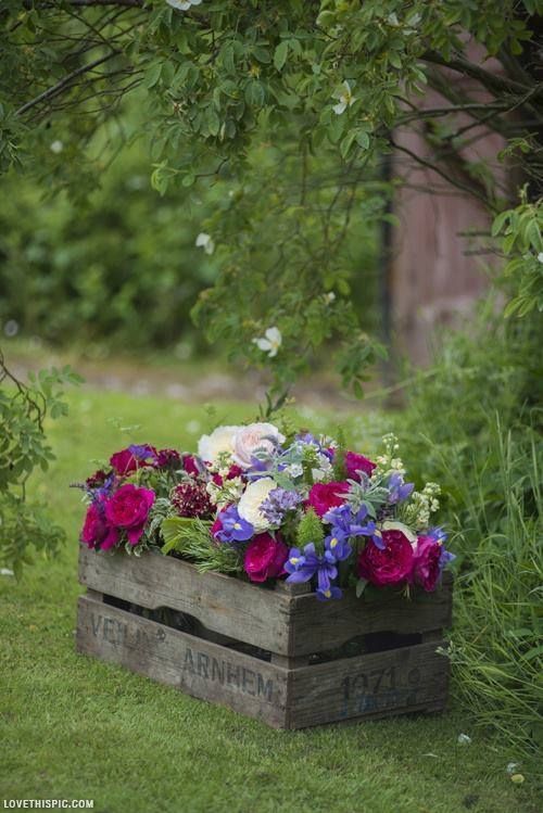 Une petite jardinière dans une cagette en bois! 20 idées ~ Mini Cagette En Bois Une petite jardinière dans une cagette en bois! 20 idées ~ Mini Cagette En Bois