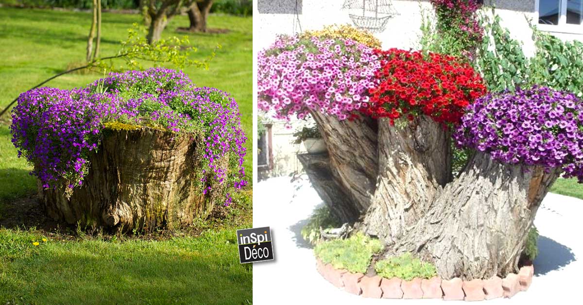 transformer le tronc dun arbre abattu en un pot de fleurs