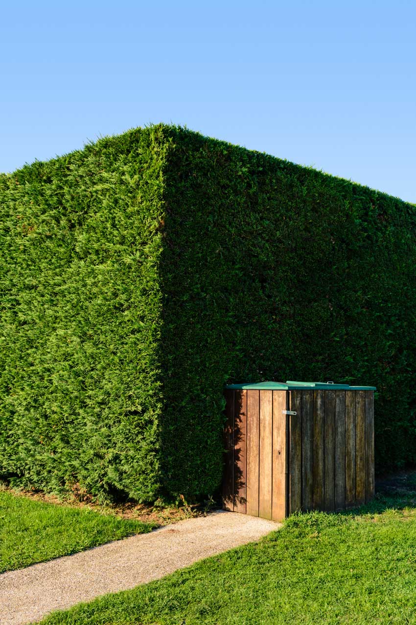 haie de jardin haute et compacte avec cyprès de Leyland.