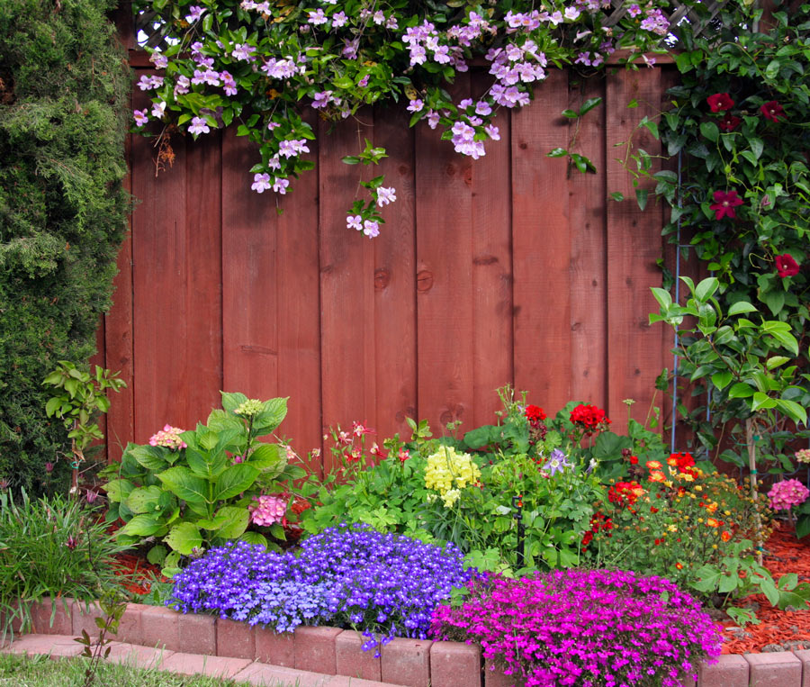 Rocaille de fleurs violet et fuchsia.