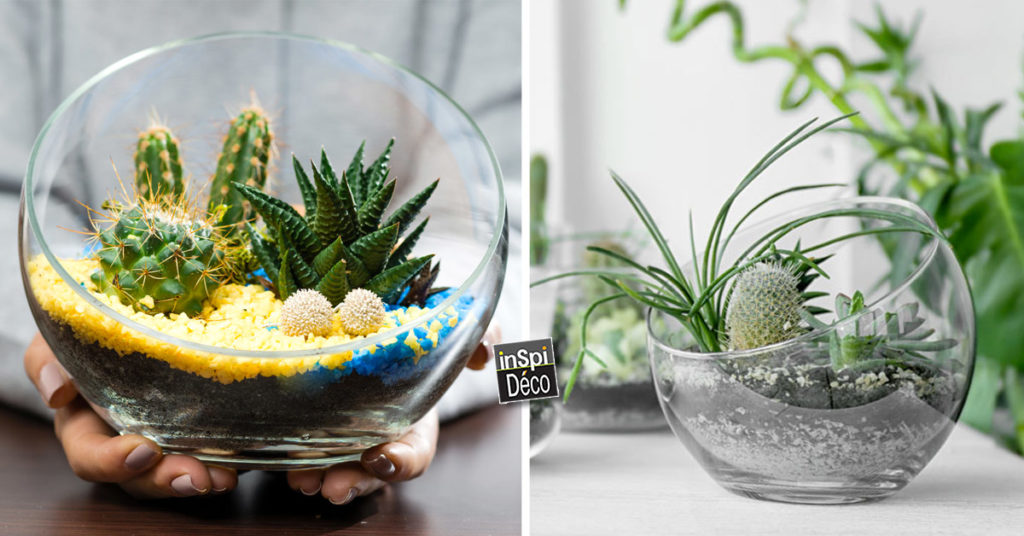 Une touche green avec un petit terrarium à faire soimême! 13 idées