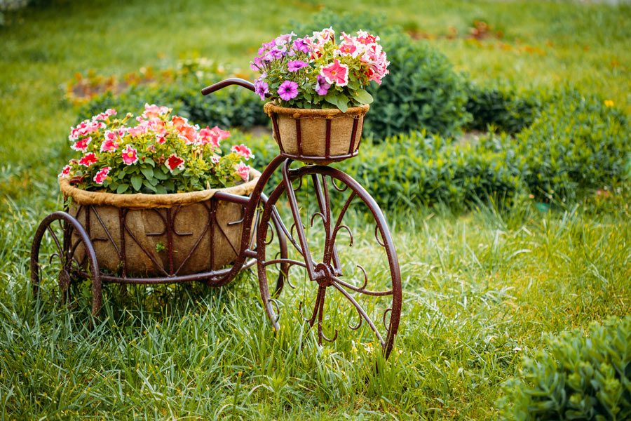 Bicicletta decorata con vasi in giardino.