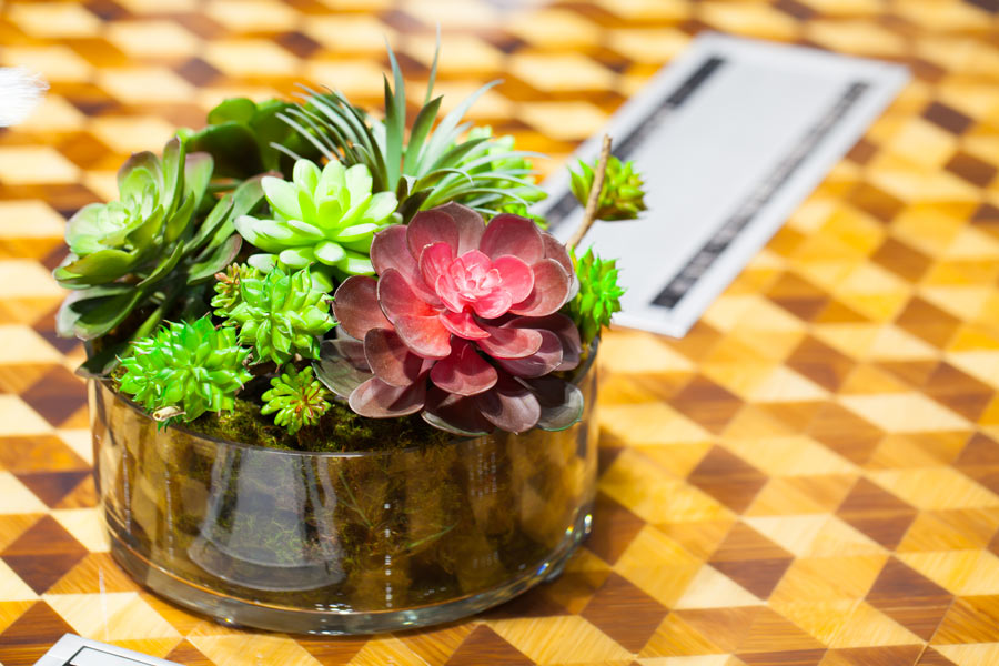 Compositions de succulentes dans un pot en verre, idéal pour décorer au printemps.