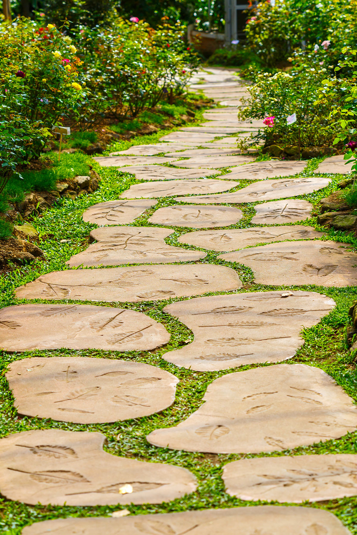 Allée en pierres naturelles dans le jardin.