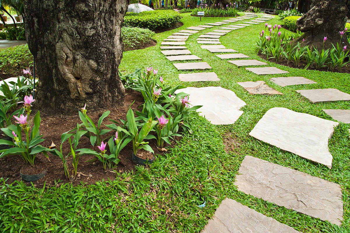 allée en pierre dans le jardin