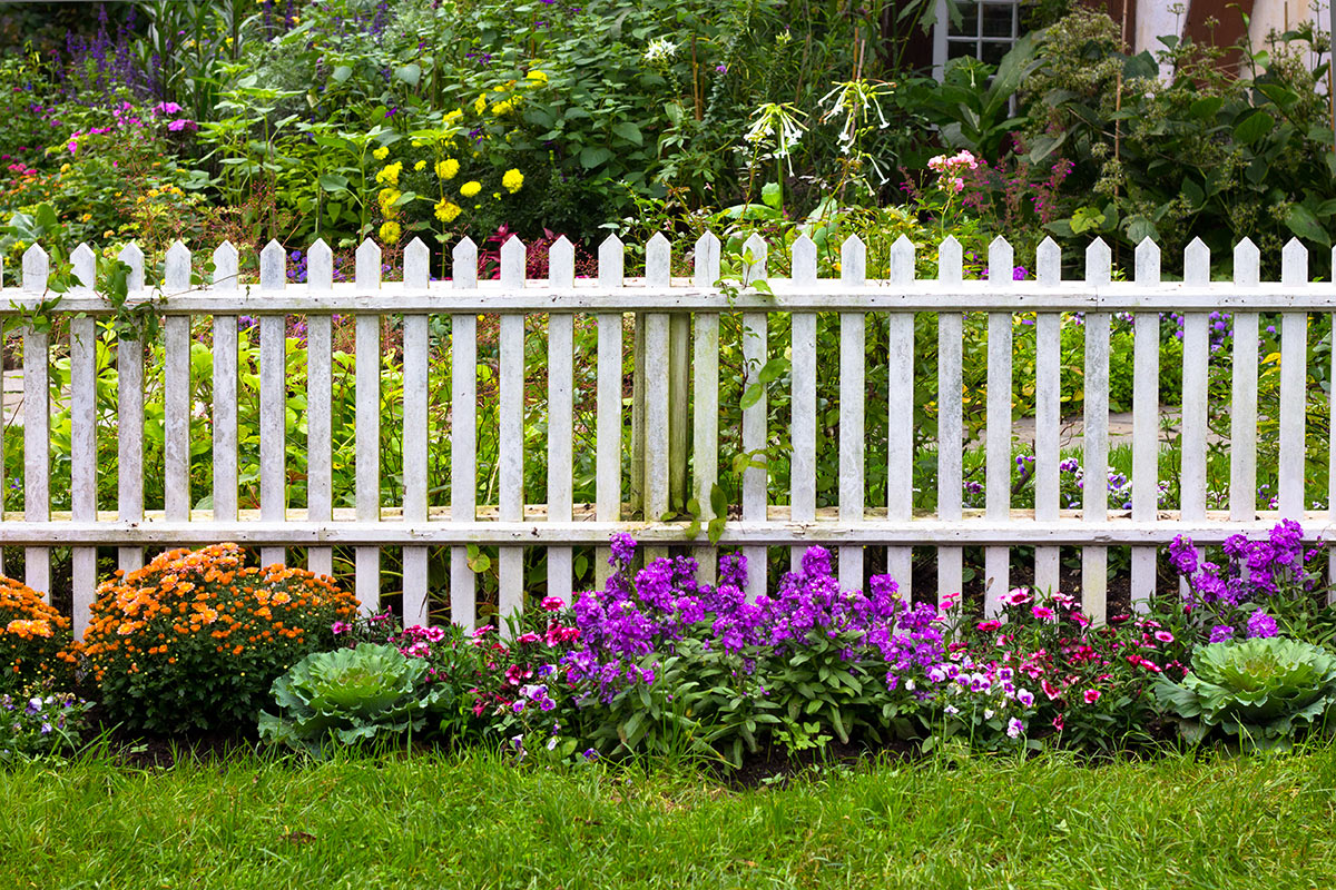 clôture de jarin en bois blanc avec fleurs.