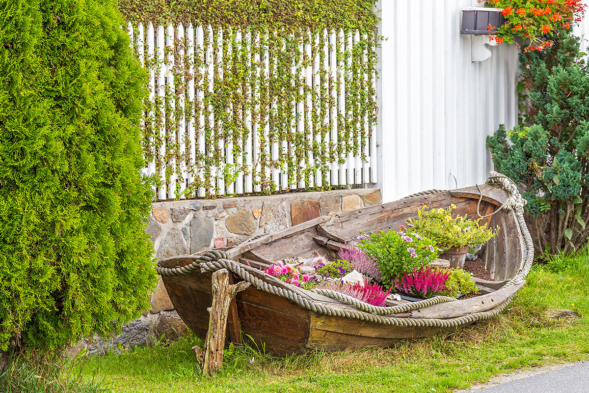 vieux bateau en bois décoré de fleurs