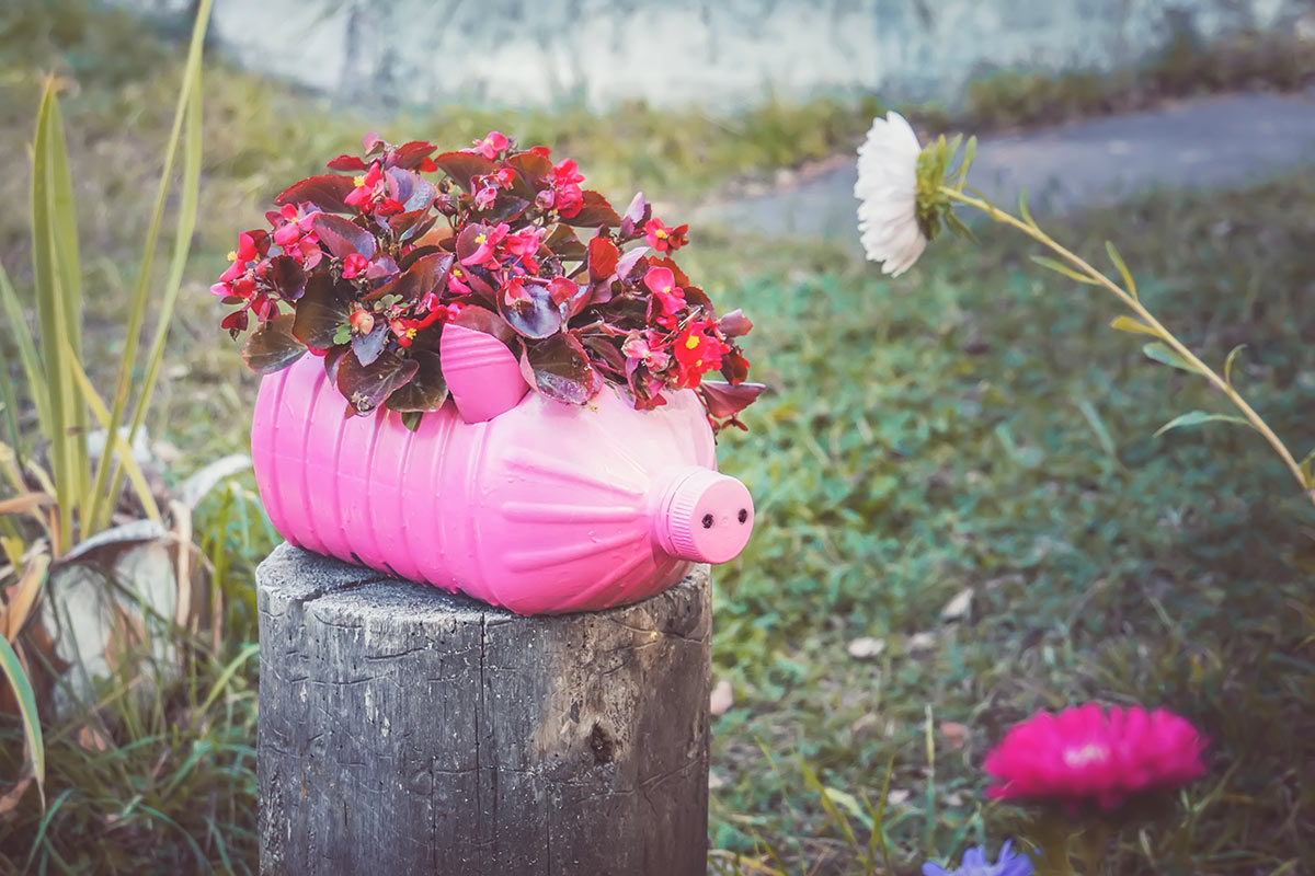 vieille bouteille en plastique rose recyclée et décorée avec fleurs