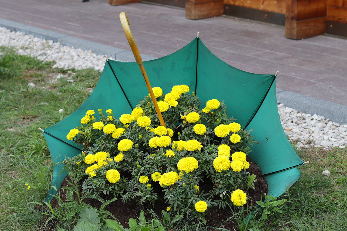 vieux parapluie recyclé et décoré avec fleurs jaunes