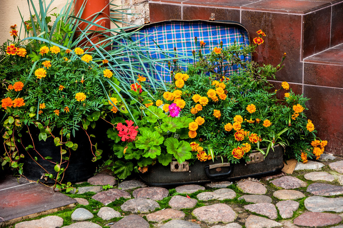 vieille valise recyclée décorée de fleurs jaunes