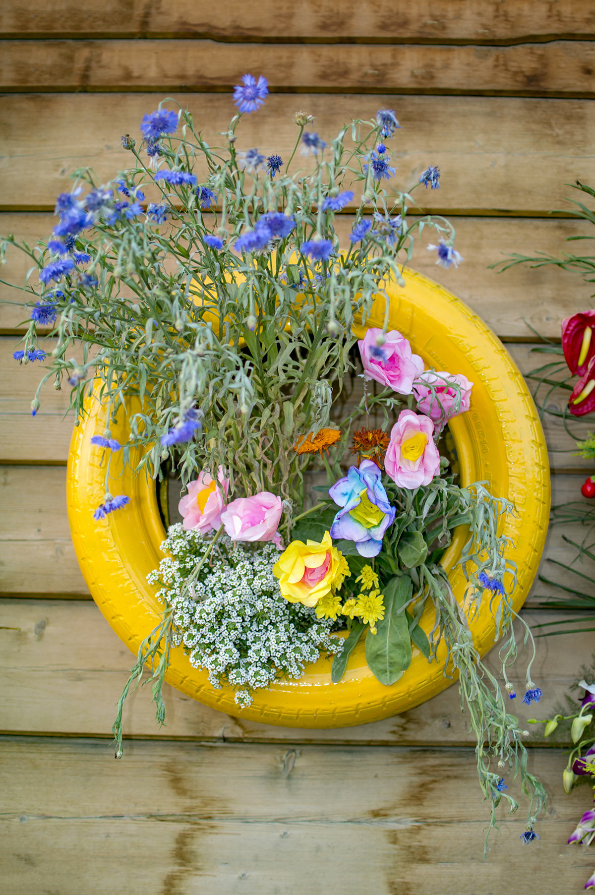 vieu pneu jaune avec fleurs dans le jardin