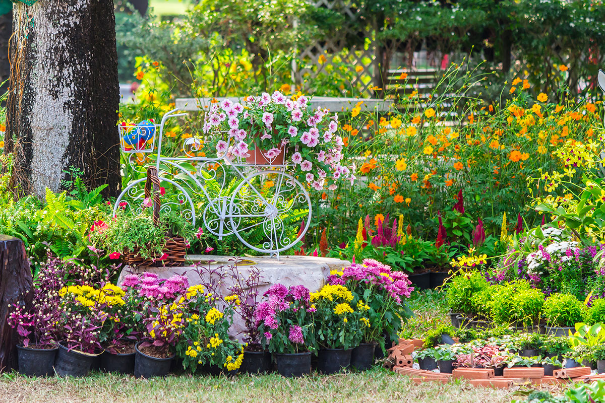Décorations jardin avec fleurs colorées et vélo blanc.