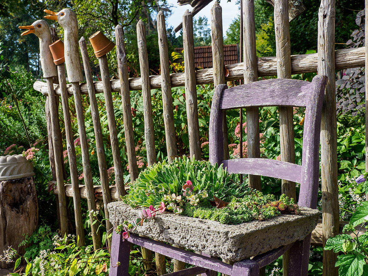 Vieilles chaises décorée avec des fleurs dans le jardin.