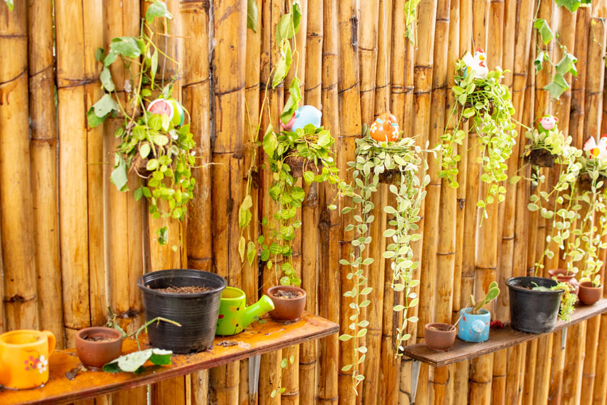 mur de bambou pour y accrocher les plantes