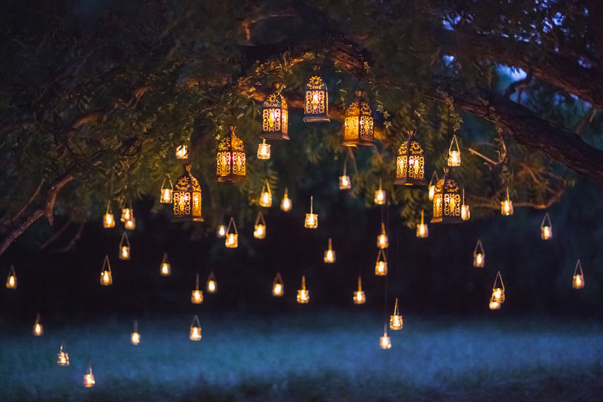 lanternes suspendues à un arbre dans le jardin