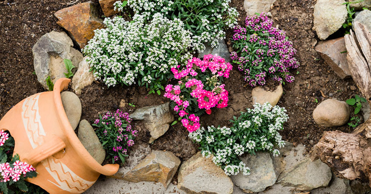 Créations originales des vases en terre cuite dans le jardin