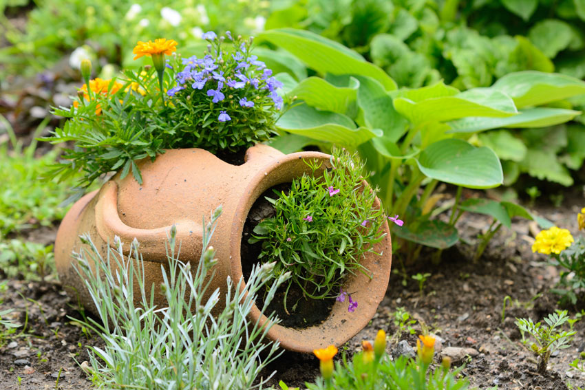 vase en terre cuite dans le jardin