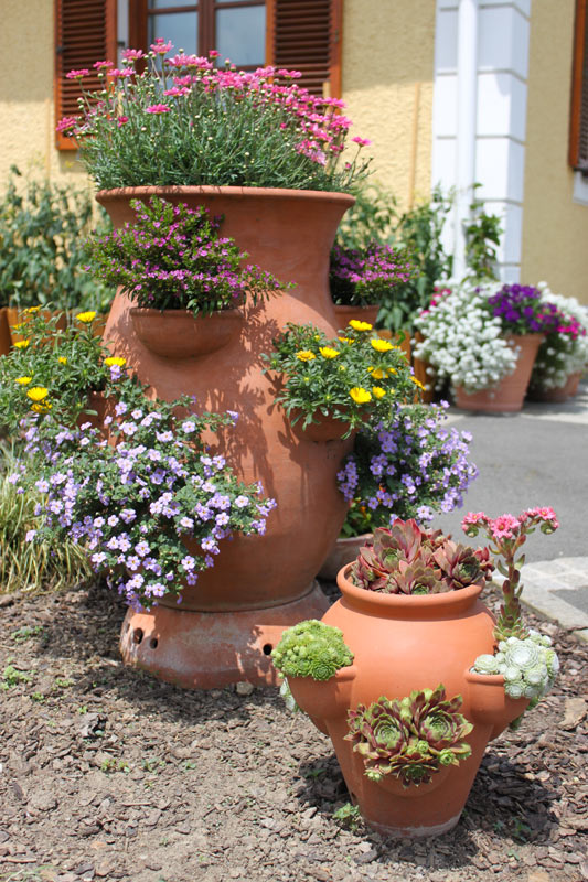 composition de vases en terre cuite dans le jardin