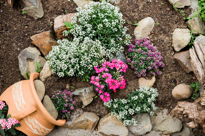 vases en terre cuite avec fleurs colorées