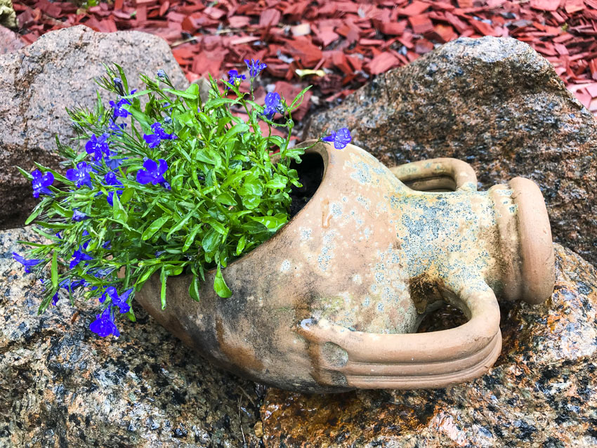 vase en terre cuite avec fleurs dans le jardin