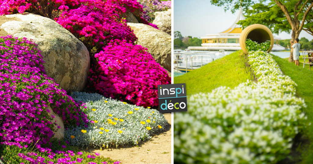Une Cascade De Fleurs Dans Le Jardin 12 Belles Idees Pour Vous Inspirer Une Cascade De Fleurs Dans Le Jardin 12 Belles Idees Pour Vous Inspirer