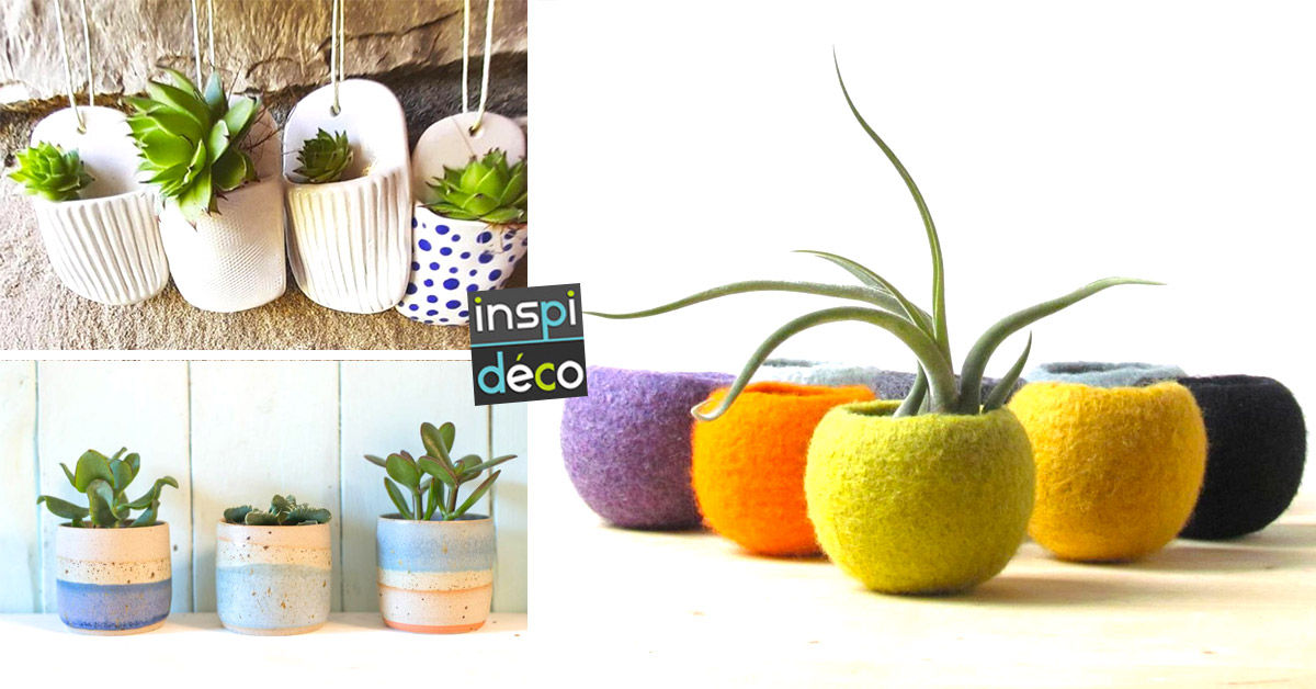 mini plantes pour décorer les petits espaces de la maison
