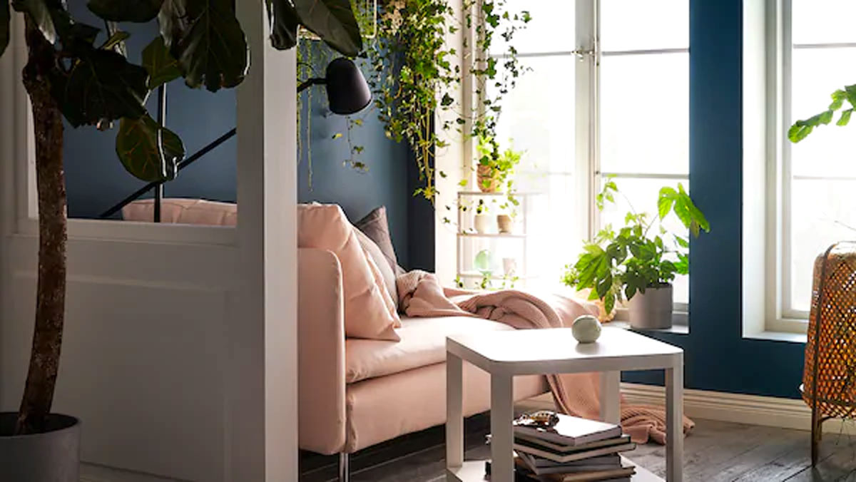 IKEA plantes salon