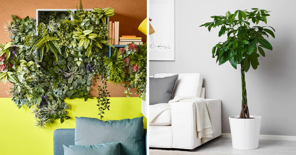 IKEA plantes salon