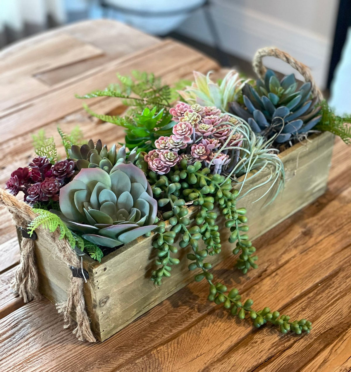 centre de table plantes grasses