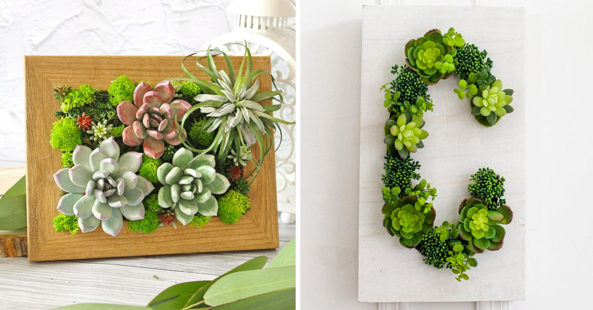 Idées déco avec succulentes.