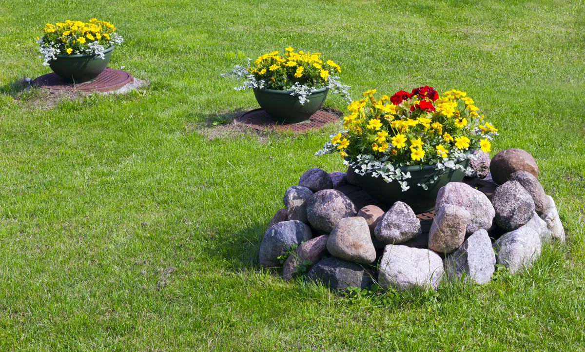 parterre de fleurs créatif dans le jardin