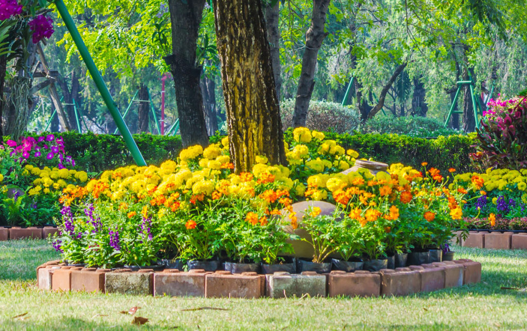 Un parterre de fleurs créatif dans le jardin 10 idées merveilleuses pour un extérieur remarquable