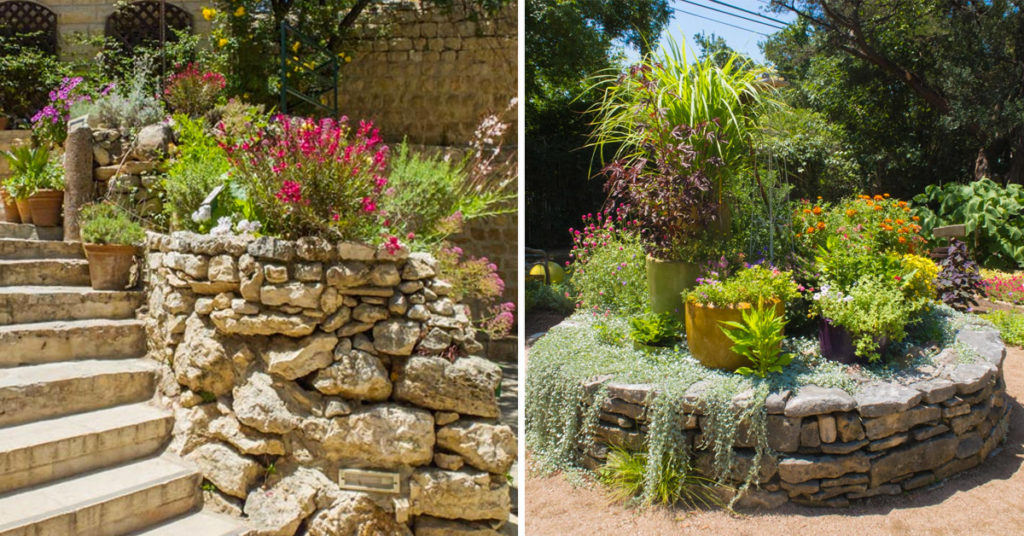 rocaille de fleurs jardin.