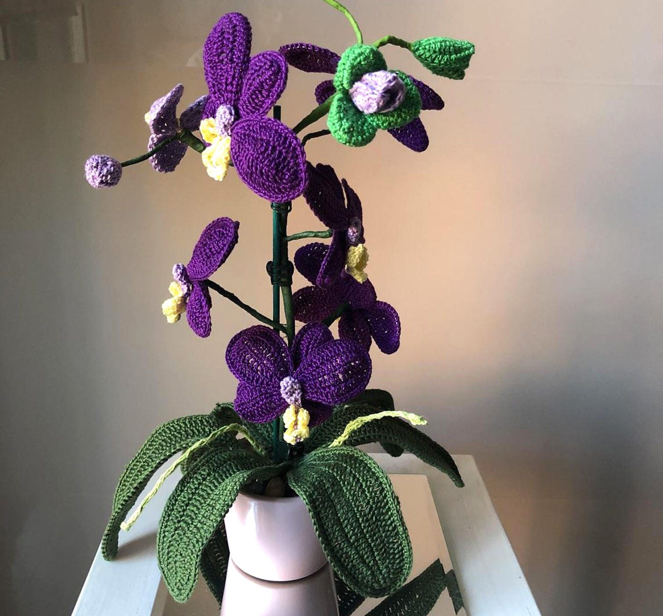 Plantes DIY au crochet.