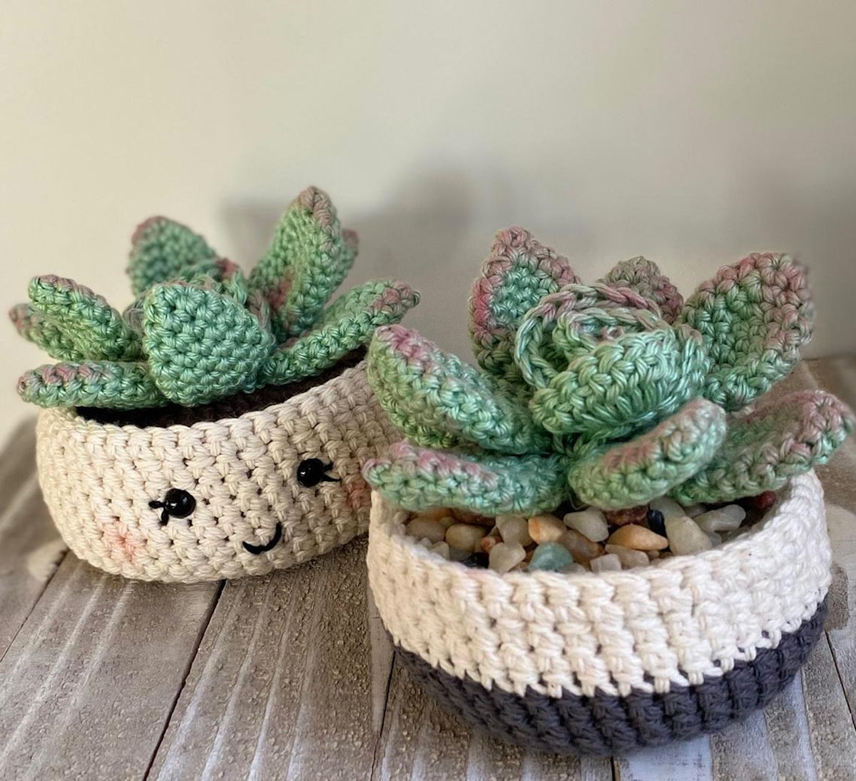 Plantes succulentes au crochet 10 inspirations DIY amusantes pour la