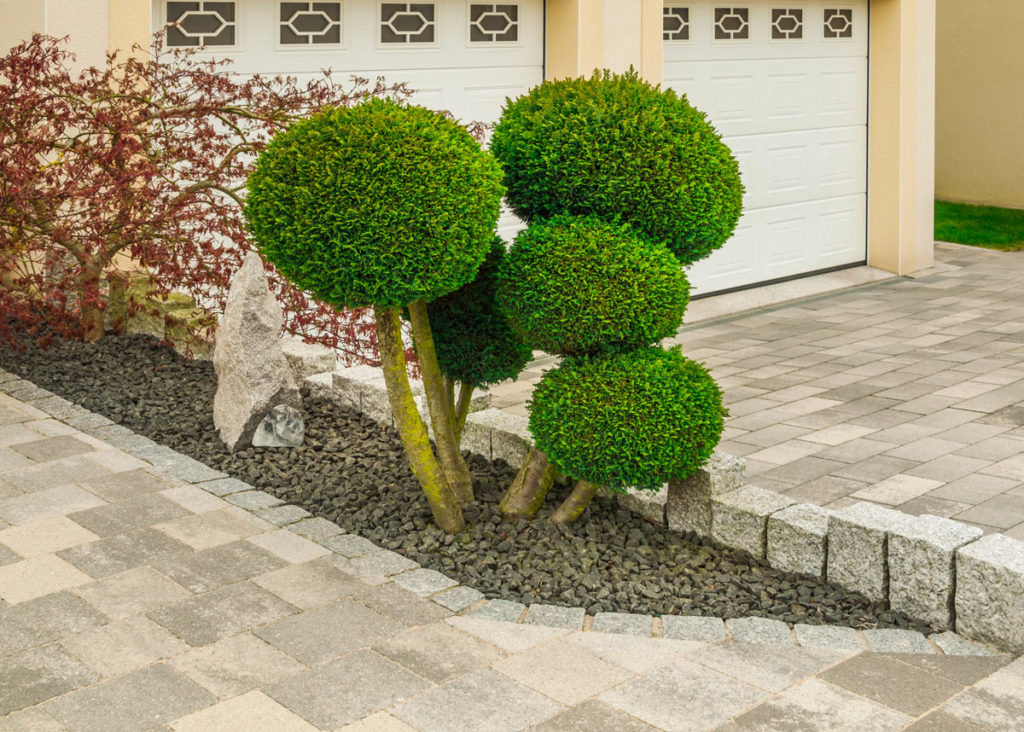 Tailler les haies et buissons de manière originale 10 idées créatives