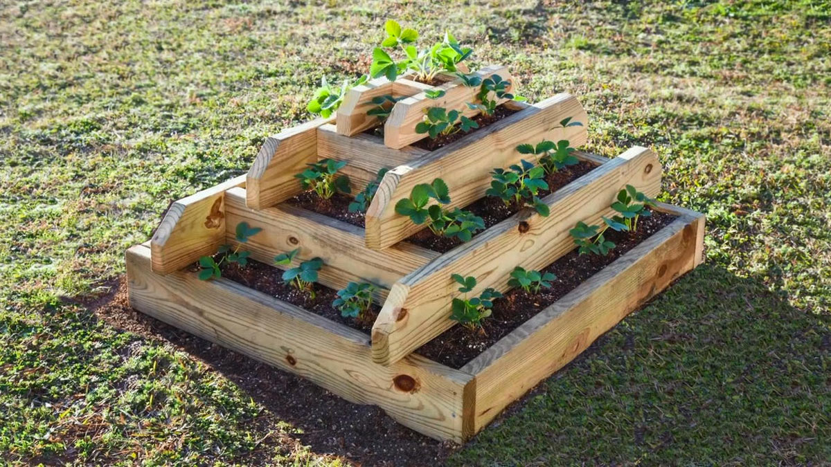 potager surélevé en bois DIY